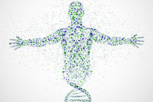 Health & Wellness Management Program